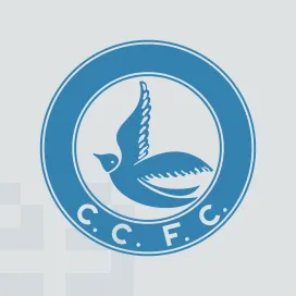 Cardiff city fc